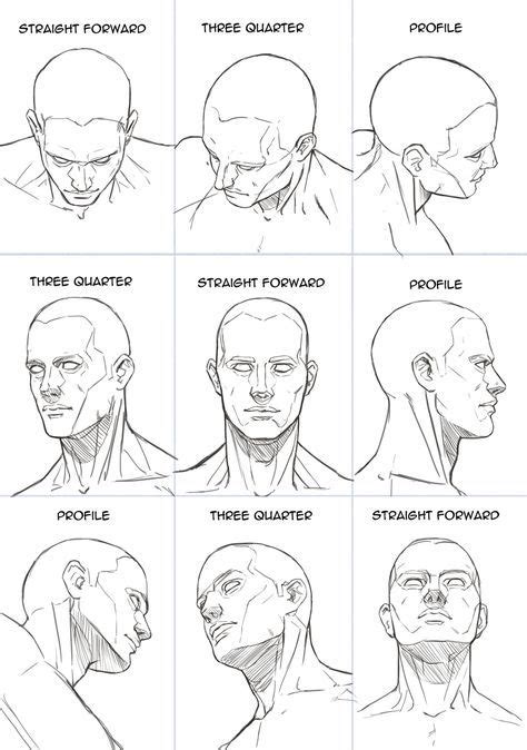 Human Head Sheet by Hoelho | Human anatomy art, Drawings, Human figure drawing