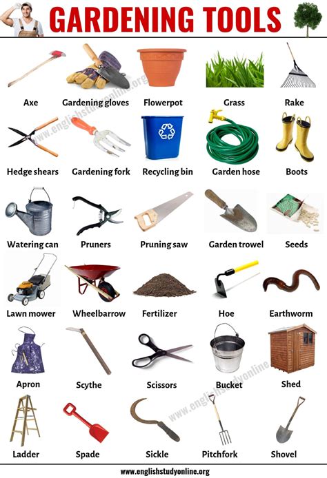 Gardening Tools: List of 30 Useful Tools Names for Gardening