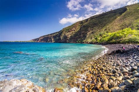 3 Favorite Big Island Snorkeling Spots for Beginners and Experts