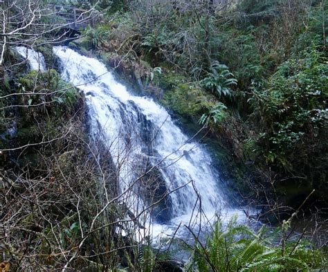 Take A Day Trip To See Waterfalls On The Olympic Peninsula - SouthSoundTalk