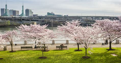 Downtown Waterfront – Prosper Portland