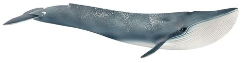 Schleich Blue Whale 14806 - Largest Animal that ever existed