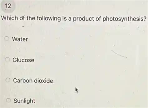 12 which of the following is a product of photosynthesis? water glucose carbon dioxide sunlight ...