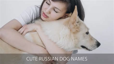 Ultimate List of the Top 350+ Russian Dog Names - Cute and Popular Puppy Name Ideas