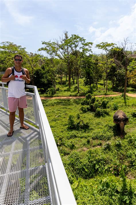 Best Elephant Sanctuary in Phuket: What Makes it Special?