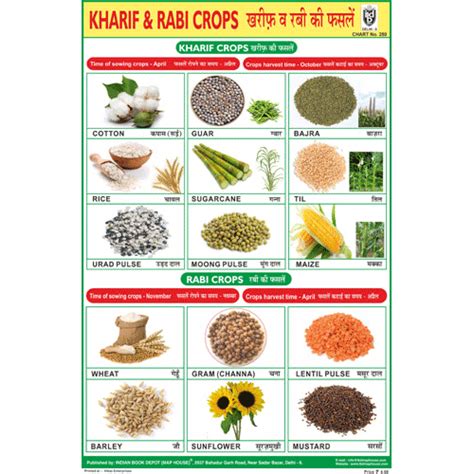 KHARIF CROPS SIZE 24 X 36 CMS CHART NO. 280