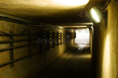 Tunnel, Design Architecture Stock Photo - Image of full, light: 241757082