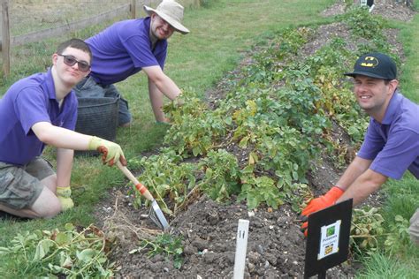 Growing your own brings many rewards - Thrive