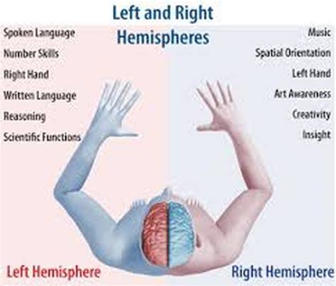 Right Hemisphere Stroke - Milka Clarke Stroke Brain Trauma Foundation