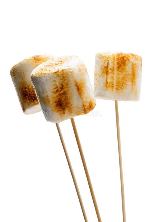 Marshmallow on a stick stock image. Image of dessert - 21765479