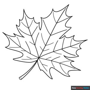 Maple Leaf Coloring Page | Easy Drawing Guides