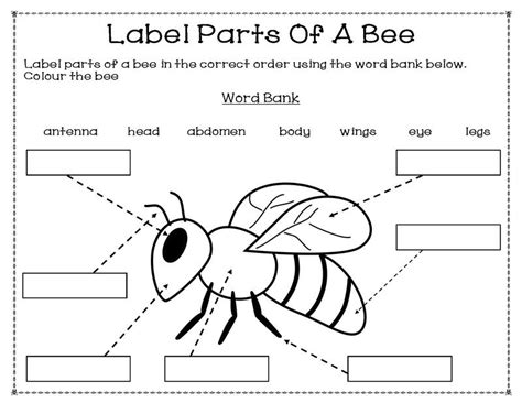 Insects - My Resource Station Grade One