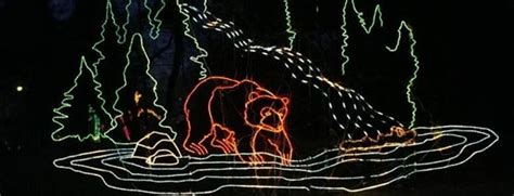 Toledo Zoo Lights Before Christmas Coupons | Home Design Ideas