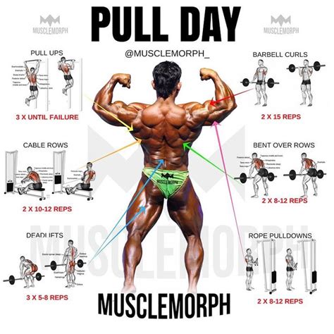 an image of a man doing pull - up exercises with the words musclelemorph