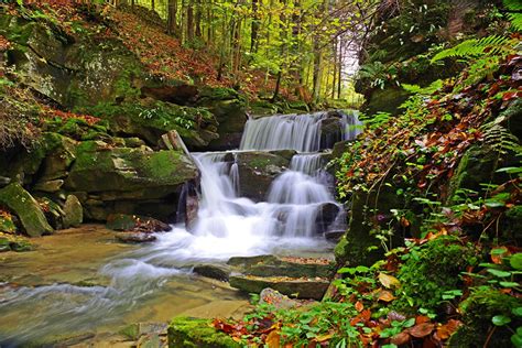 Picture Leaf Poland Bieszczady Autumn Nature Waterfalls Moss stone