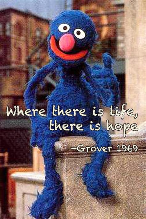 Grover is my favorite. I loved the Grover books as a child. Sesame ...