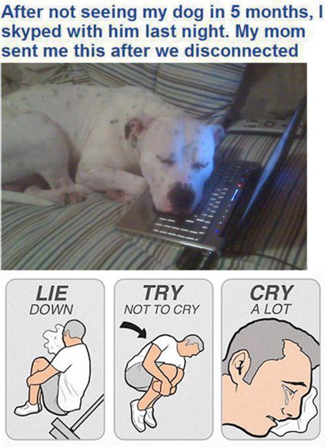 [Image - 595759] | Lie Down / Try Not To Cry / Cry A Lot | Know Your Meme