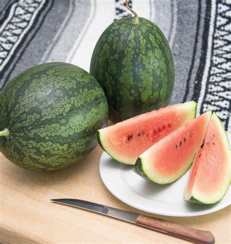 Black Beauty Mini Watermelon Seeds – West Coast Seeds