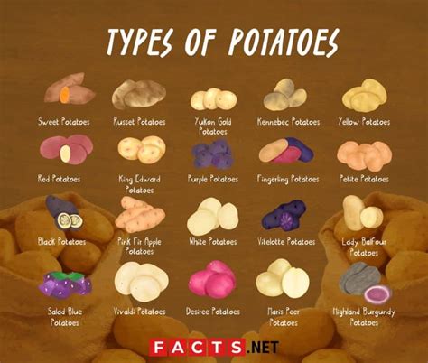 20 Types of Potatoes For The Best Potato Dishes - Facts.net