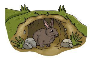 rabbit burrow clipart 10 free Cliparts | Download images on Clipground 2024