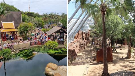 sydney zoo vs taronga zoo | Compare 2 Zoos