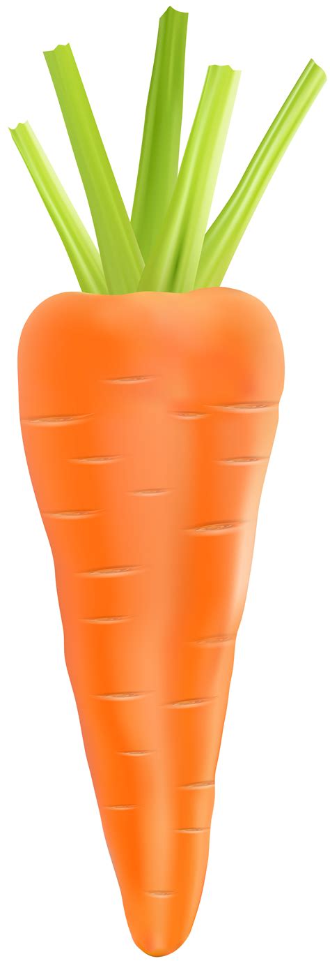 Free Carrot Clip Art, Download Free Carrot Clip Art png images, Free ...