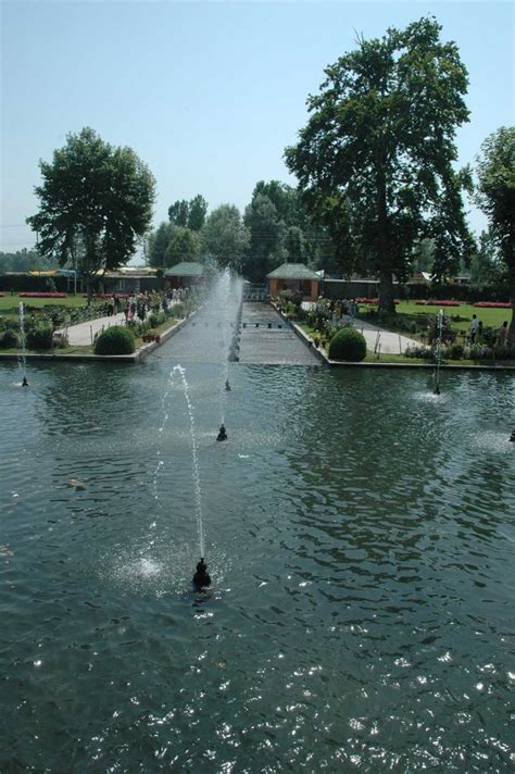 Mughal Gardens in Srinagar: A Traveler's Delight | Shariq Bakshi