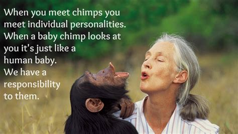 These Riveting Jane Goodall Quotes Will Inspire You To Fight For Nature ...