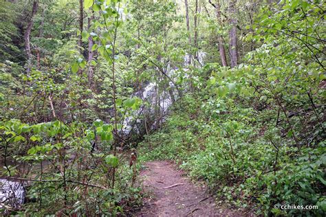 Visit Yellow Branch Falls in upstate South Carolina