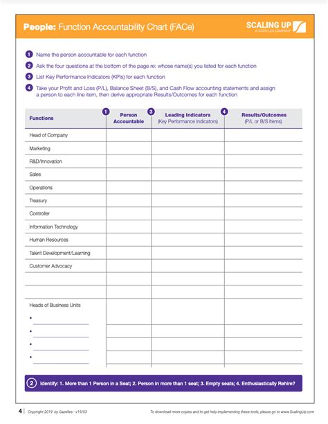 Scaling Up Coaches — Function Accountability Chart (FACe)