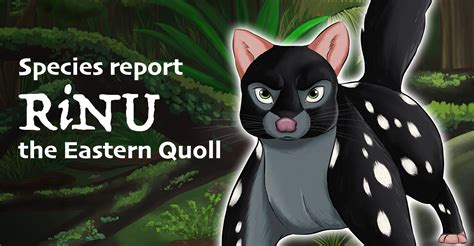 Species Report: RiNU the Eastern Quoll