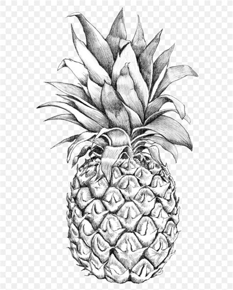 Drawing Sketch Art Pineapple Image, PNG, 602x1024px, Drawing, Ananas ...