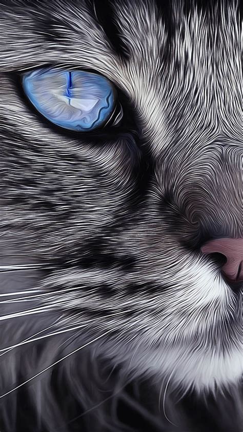 Animal eye, Kawaii Cat Face HD phone wallpaper | Pxfuel