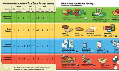 Canada’s Food Guide – Chanel’s Food Blog