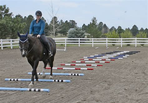 10 Ground Pole Exercises - Budget Equestrian