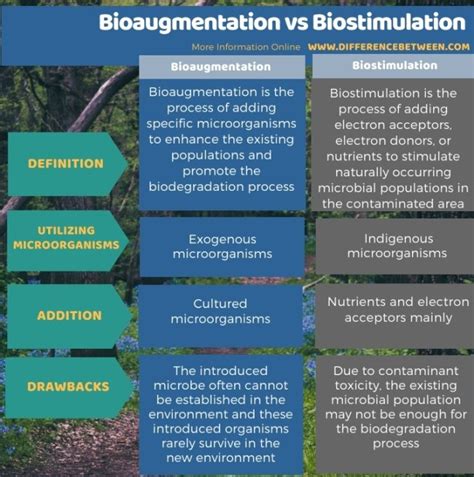 Difference Between Bioaugmentation and Biostimulation | Compare the Difference Between Similar Terms