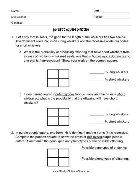 Practice With Monohybrid Punnett Squares Worksheet Answer » Semanario Worksheet for Student