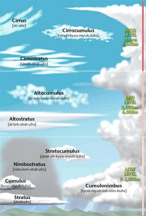 Cloud Guide: Types of Clouds and Weather They Predict! | Cloud type, Clouds, Weather science