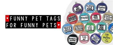 Dog ID Tags For Dogs - Custom Pet ID Tags For Funny Dogs and Cats