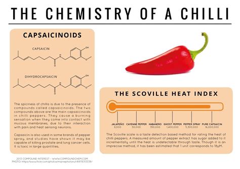 These Beautiful Graphics Reveal The Chemistry Of Everyday Foods | Teaching chemistry, Chemistry ...