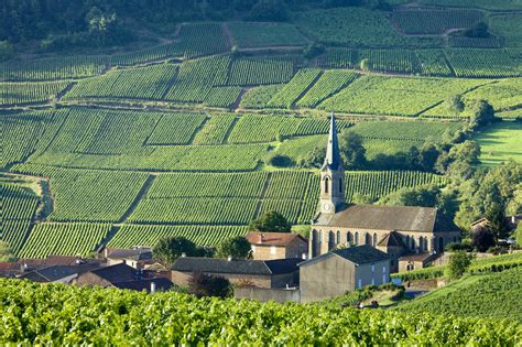 Discover wines from 'Bourgogne plus' geographical denominations