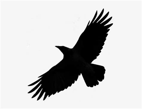Free Flying Crow Silhouette, Download Free Flying Crow Silhouette png images, Free ClipArts on ...