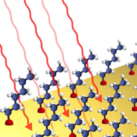 Self-Assembled Monolayers in IR Spectroscopy