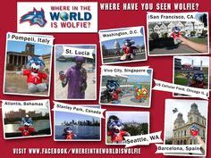 Where In The World Is Wolfie? Stony Brook University students, alumni ...