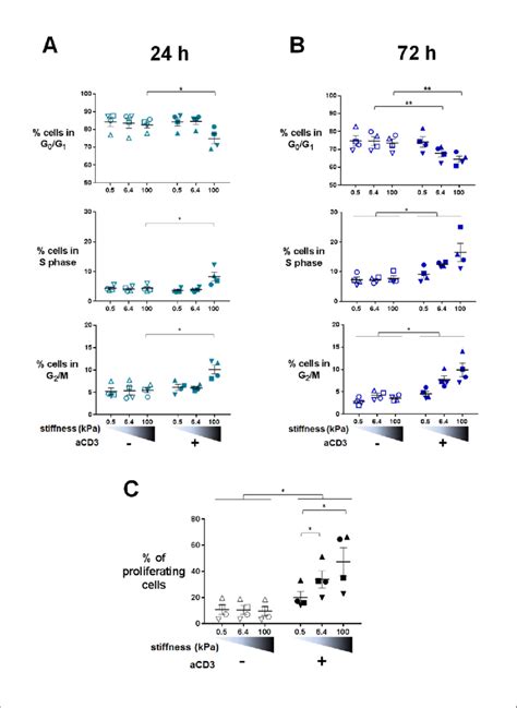 Proliferation and cell cycle progression are potentiated by stiffness... | Download Scientific ...