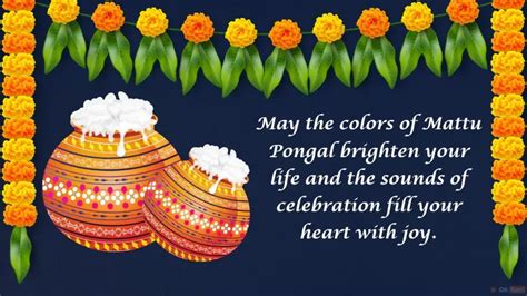 Mattu Pongal 2024: Happy Mattu Pongal Wishes, Images and Quotes in ...