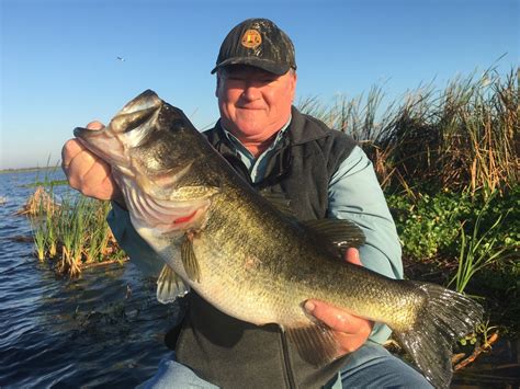 Okeechobee Fishing Report for Okeechobee Bass Fishing: December 2016