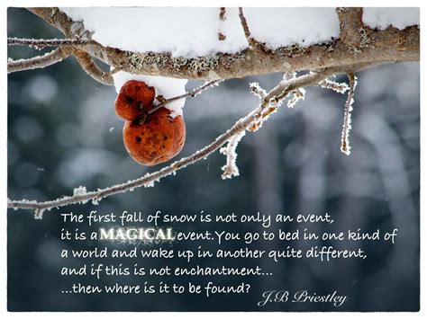 the first fall of snow is not only one event, it's a special event