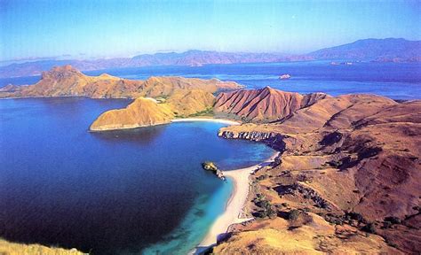 MOST POPULAR PLACES IN INDONESIA: Komodo Island