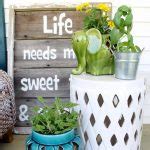 Natural Mosquito Repellent Plants You Need Now - Angie Holden The Country Chic Cottage